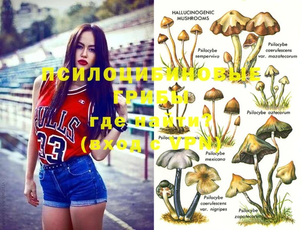 гидропоника Саяногорск