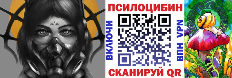где можно купить   Балей  Галлюциногенные грибы GOLDEN TEACHER 