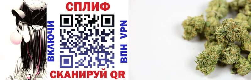 где продают наркотики  кракен как зайти  Бошки Шишки Amnesia  Балей 